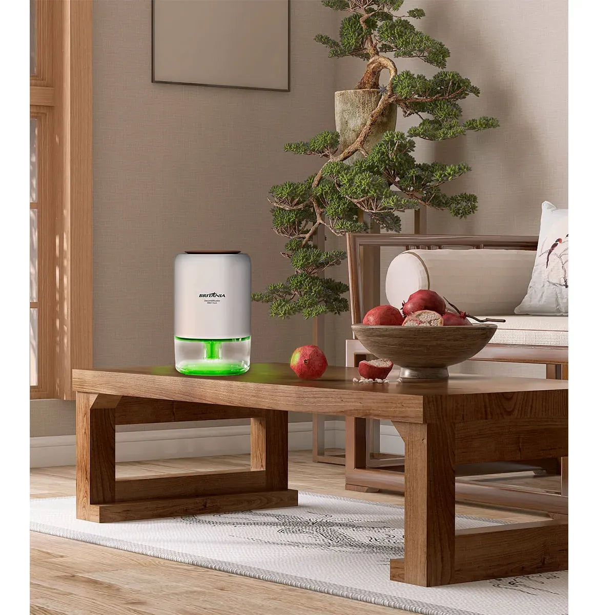 Desumidificador Britânia 900ml Antimofo Bivolt BDE01