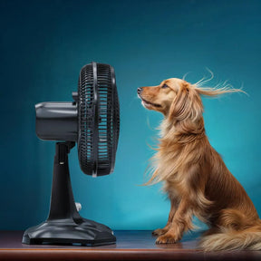 Ventilador 2 em 1 Britânia Tecnologia Maxx Force 60W BVT301